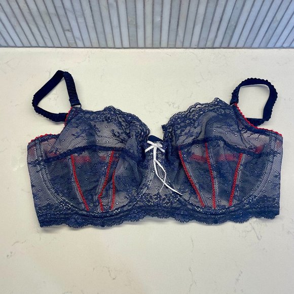 Heidi Klum Intimates Sofia‎ Underwire Bra in Navy with Red Trim, Size 36E /36DD - Picture 1 of 5